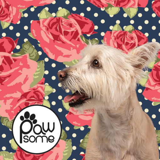 English Rose Poo Bag Holder – Stylish Pet Waste Solution - Image 3