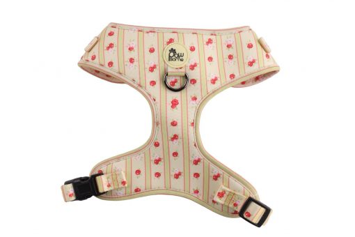 Laura and Ashley Vest Harness