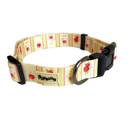 Laura and Ashley Dog Collar