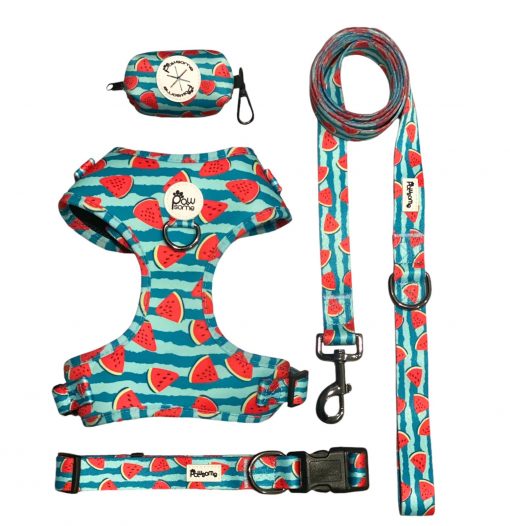 Pawsome - Pali Pet- Not just a watermelon Leash - Image 2