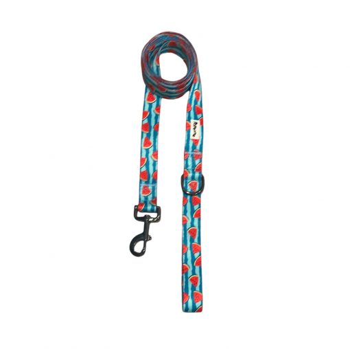 Pawsome - Pali Pet- Not just a watermelon Leash - Image 3