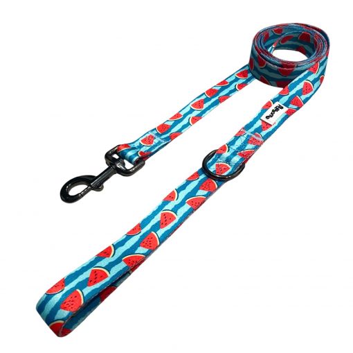 Pawsome - Pali Pet- Not just a watermelon Leash