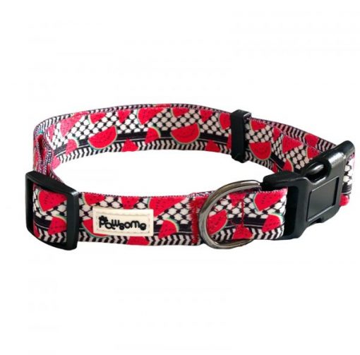 Pawsome - "Pali Pet Watermelon" Dog Collar