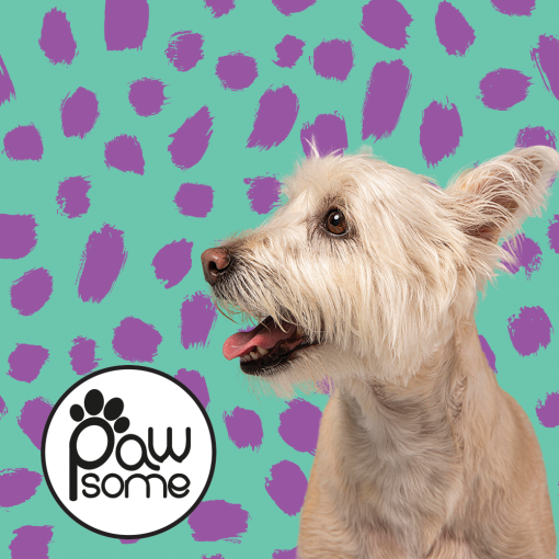 Pawsome - Tiffany Polka Dog Vest Style Harness - Image 2